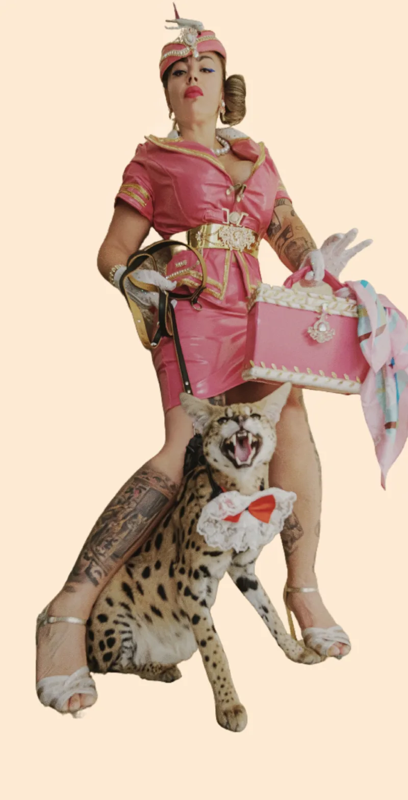 Профилна снимка на Rosica Bursa - Glitter the serval cat