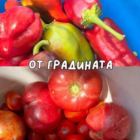 Това е пърият ми пост, с него искам да покажа какво може последователи да очакват в профила.